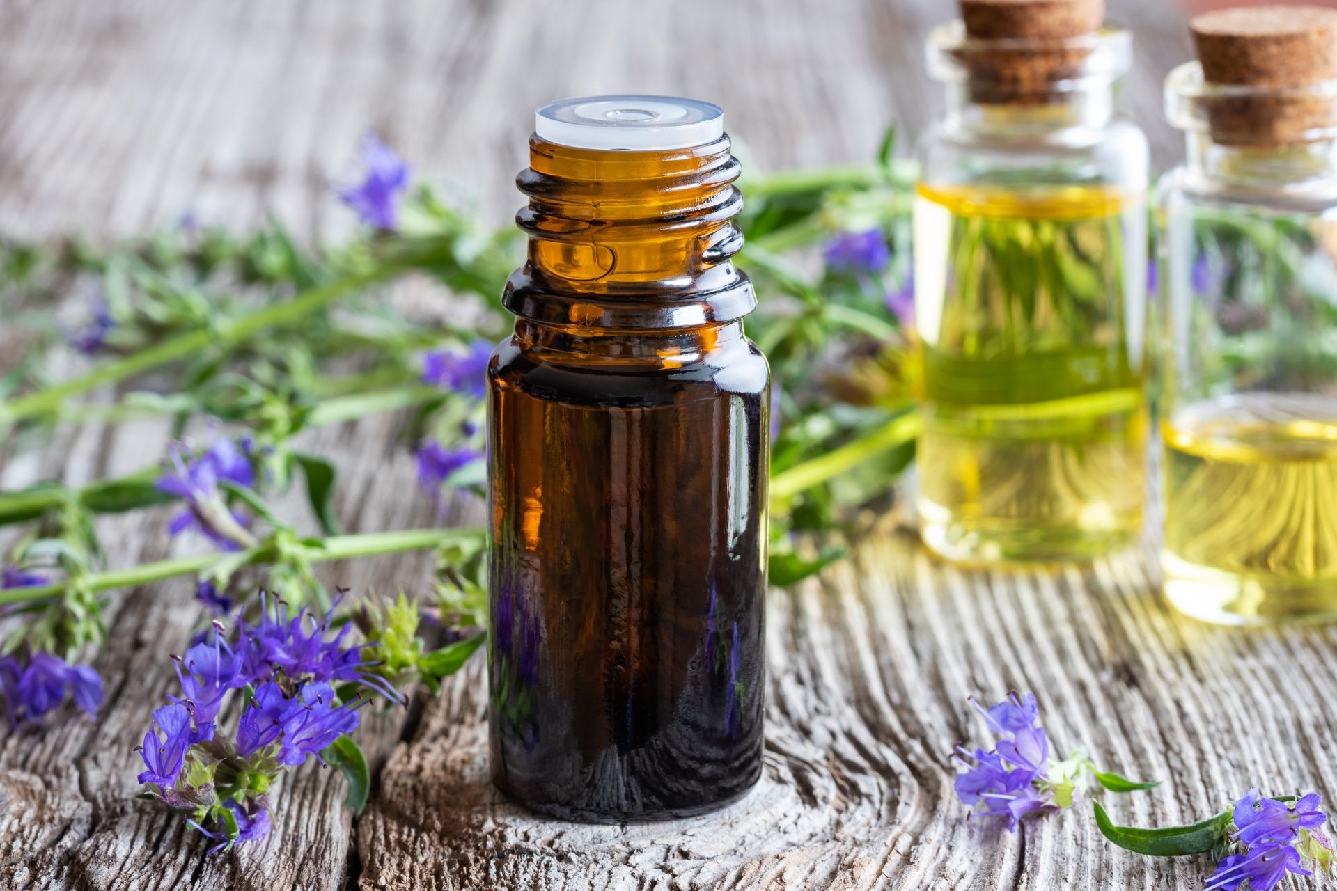 A bottle of essential oil with fresh blooming hyssop